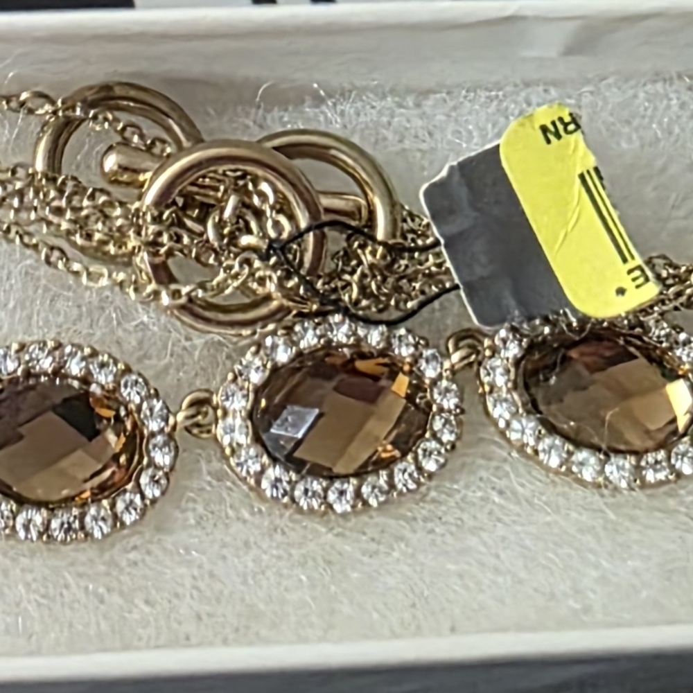 Elegant Gold and Brown Necklace